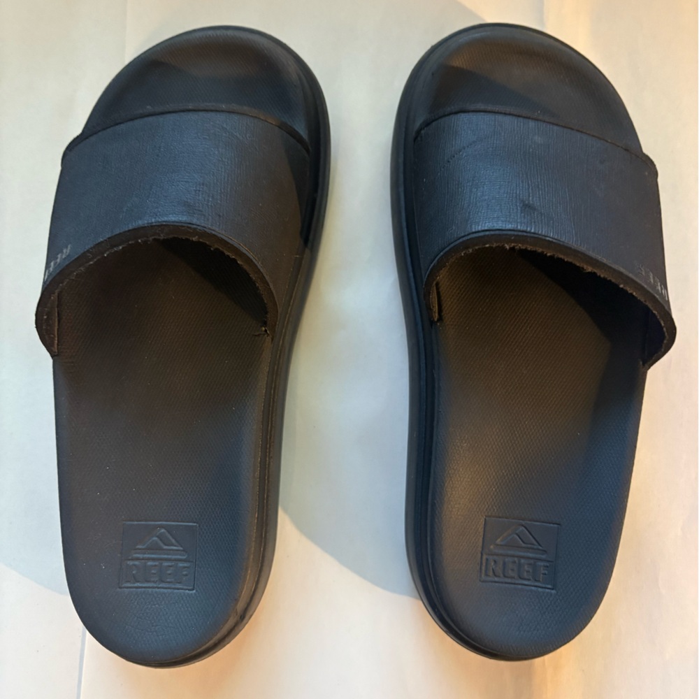 REEF Platform Slides